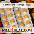 African Black Ant Pills levitra2